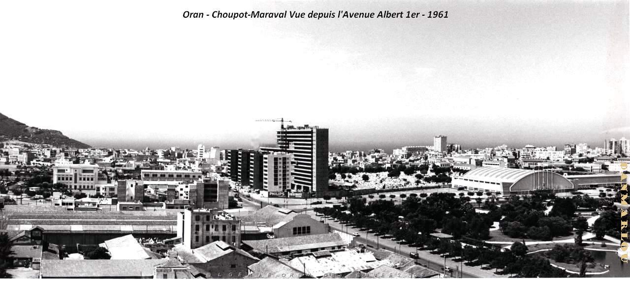 Oran - Choupot-Maraval - Vue depuis Avenue Albert 1er - 1961 .jpg